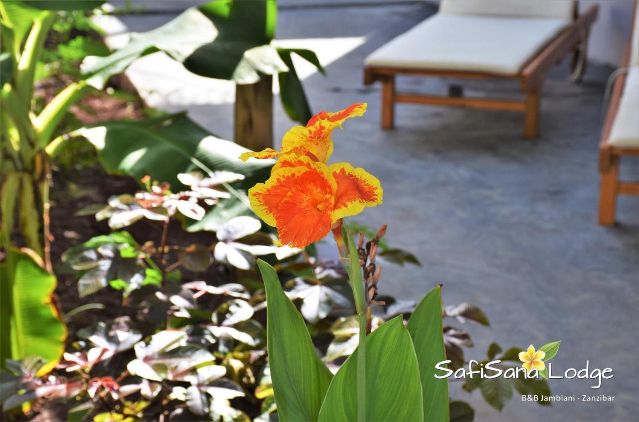 Safisana Lodge จัมเบียนี ภายนอก รูปภาพ