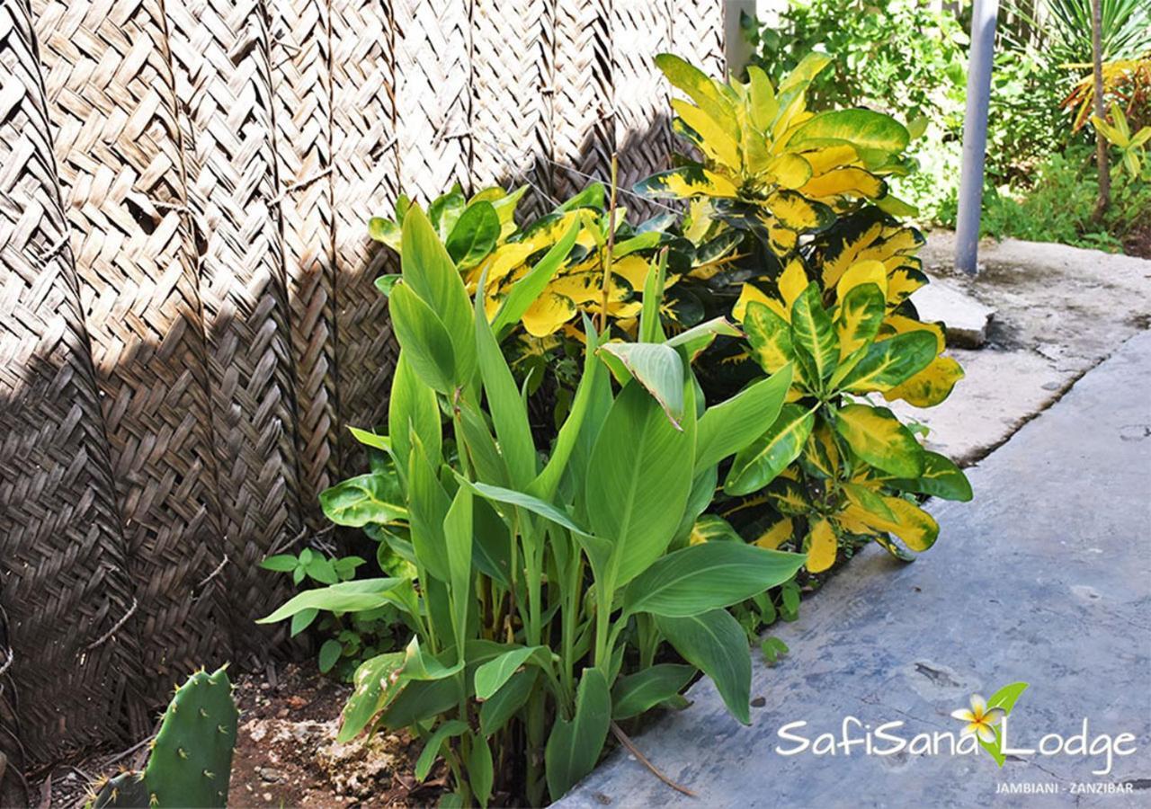 Safisana Lodge จัมเบียนี ภายนอก รูปภาพ